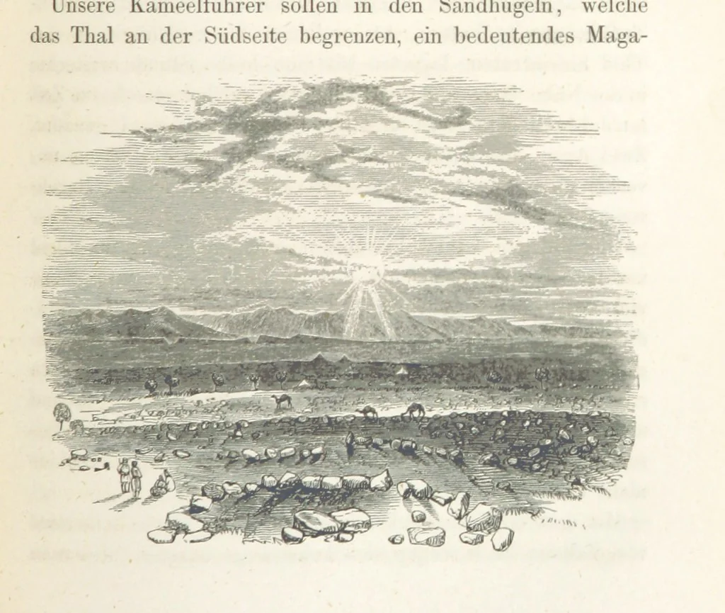 An illustration from Reisen und Entdeckungen in Nord- und Central-Afrika in den Jahren 1849 bis 1855. Von Dr. H. Barth. Tagebuch seiner im Auftrag der Brittischen Regierung unternommenen Reise ... Mit Karten, Holzschnitten und Bildern. L.P, 1857, leaf 265