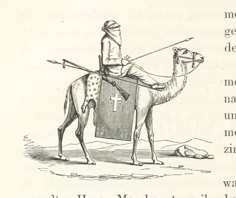 An illustration from Reisen und Entdeckungen in Nord- und Central-Afrika in den Jahren 1849 bis 1855. Von Dr. H. Barth. Tagebuch seiner im Auftrag der Brittischen Regierung unternommenen Reise ... Mit Karten, Holzschnitten und Bildern. L.P, 1857, leaf 272