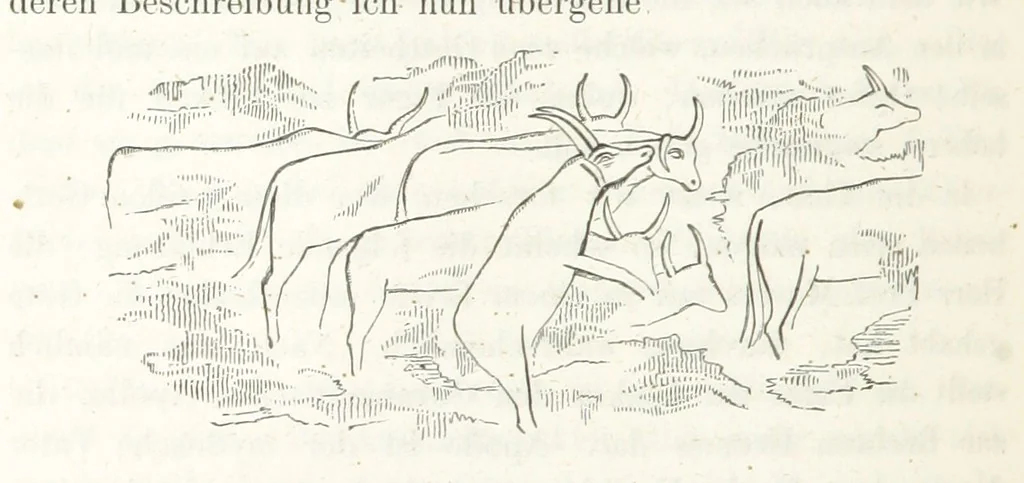 An illustration from Reisen und Entdeckungen in Nord- und Central-Afrika in den Jahren 1849 bis 1855. Von Dr. H. Barth. Tagebuch seiner im Auftrag der Brittischen Regierung unternommenen Reise ... Mit Karten, Holzschnitten und Bildern. L.P, 1857, leaf 280