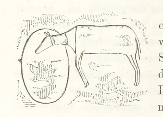 An illustration from Reisen und Entdeckungen in Nord- und Central-Afrika in den Jahren 1849 bis 1855. Von Dr. H. Barth. Tagebuch seiner im Auftrag der Brittischen Regierung unternommenen Reise ... Mit Karten, Holzschnitten und Bildern. L.P, 1857, leaf 282