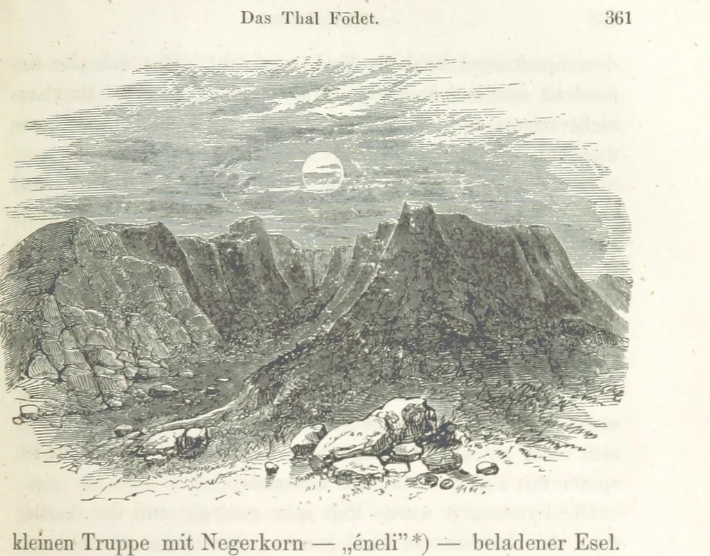 An illustration from Reisen und Entdeckungen in Nord- und Central-Afrika in den Jahren 1849 bis 1855. Von Dr. H. Barth. Tagebuch seiner im Auftrag der Brittischen Regierung unternommenen Reise ... Mit Karten, Holzschnitten und Bildern. L.P, 1857, leaf 431