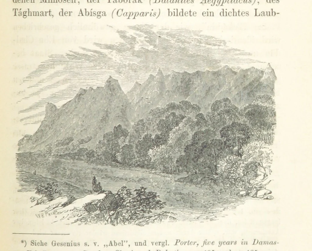 An illustration from Reisen und Entdeckungen in Nord- und Central-Afrika in den Jahren 1849 bis 1855. Von Dr. H. Barth. Tagebuch seiner im Auftrag der Brittischen Regierung unternommenen Reise ... Mit Karten, Holzschnitten und Bildern. L.P, 1857, leaf 489