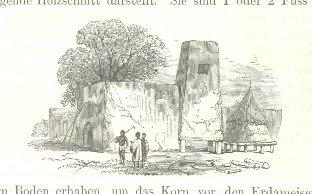 An illustration from Reisen und Entdeckungen in Nord- und Central-Afrika in den Jahren 1849 bis 1855. Von Dr. H. Barth. Tagebuch seiner im Auftrag der Brittischen Regierung unternommenen Reise ... Mit Karten, Holzschnitten und Bildern. L.P, 1857, leaf 292