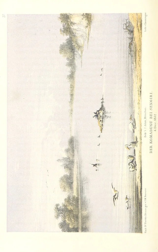 An illustration from Reisen und Entdeckungen in Nord- und Central-Afrika in den Jahren 1849 bis 1855. Von Dr. H. Barth. Tagebuch seiner im Auftrag der Brittischen Regierung unternommenen Reise ... Mit Karten, Holzschnitten und Bildern. L.P, 1857, leaf 50