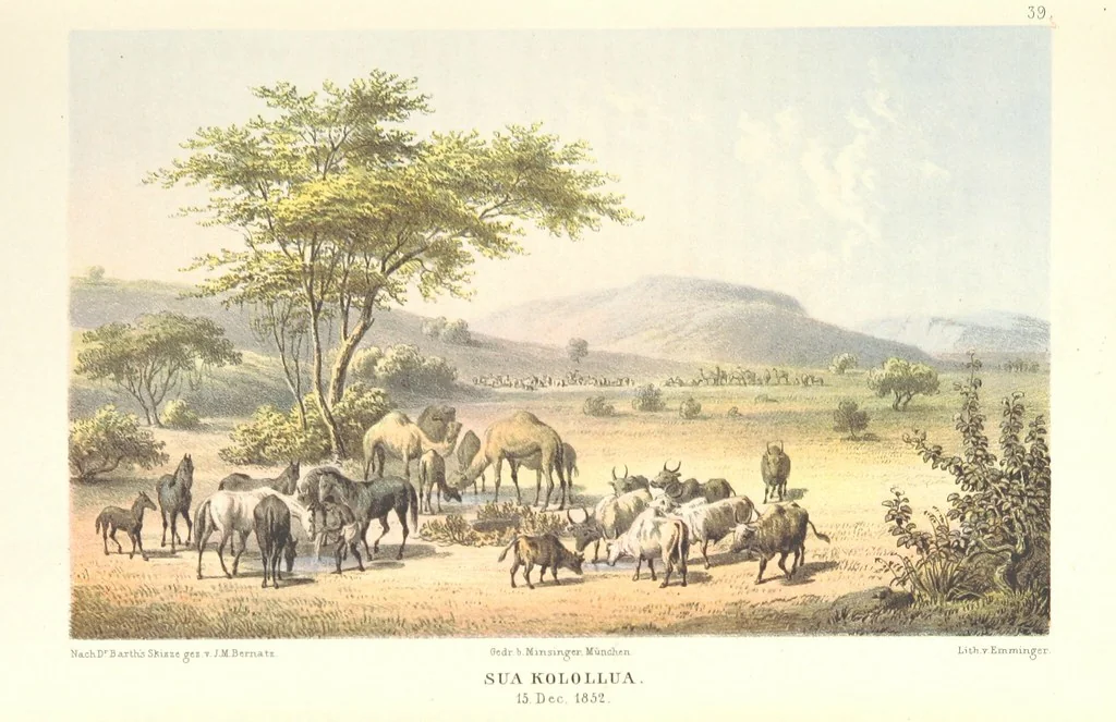 An illustration from Reisen und Entdeckungen in Nord- und Central-Afrika in den Jahren 1849 bis 1855. Von Dr. H. Barth. Tagebuch seiner im Auftrag der Brittischen Regierung unternommenen Reise ... Mit Karten, Holzschnitten und Bildern. L.P, 1857, leaf 75
