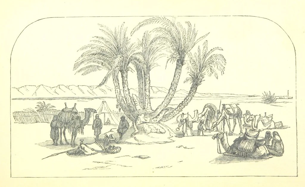 An illustration from A Pilgrimage through the Holy Land, explanatory of the Diorama of Jerusalem and the Holy Land, painted under the direction of Mr. W. Beverly, from original sketches ... by Mr. W. H. Bartlett. [With illustrations, 1850, leaf 17