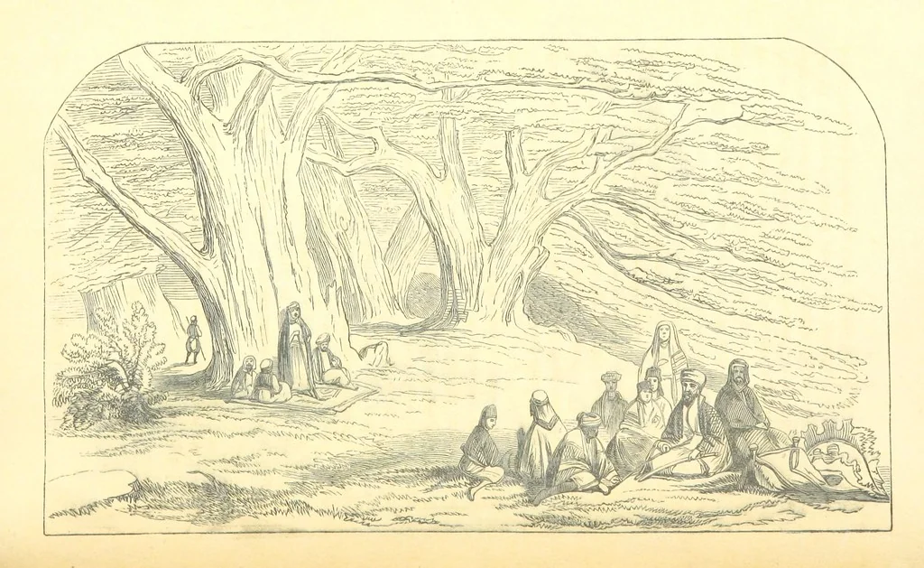 An illustration from A Pilgrimage through the Holy Land, explanatory of the Diorama of Jerusalem and the Holy Land, painted under the direction of Mr. W. Beverly, from original sketches ... by Mr. W. H. Bartlett. [With illustrations, 1850, leaf 53