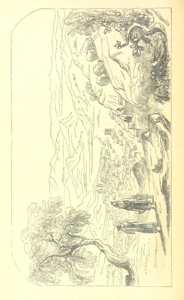 An illustration from A Pilgrimage through the Holy Land, explanatory of the Diorama of Jerusalem and the Holy Land, painted under the direction of Mr. W. Beverly, from original sketches ... by Mr. W. H. Bartlett. [With illustrations, 1850, leaf 62