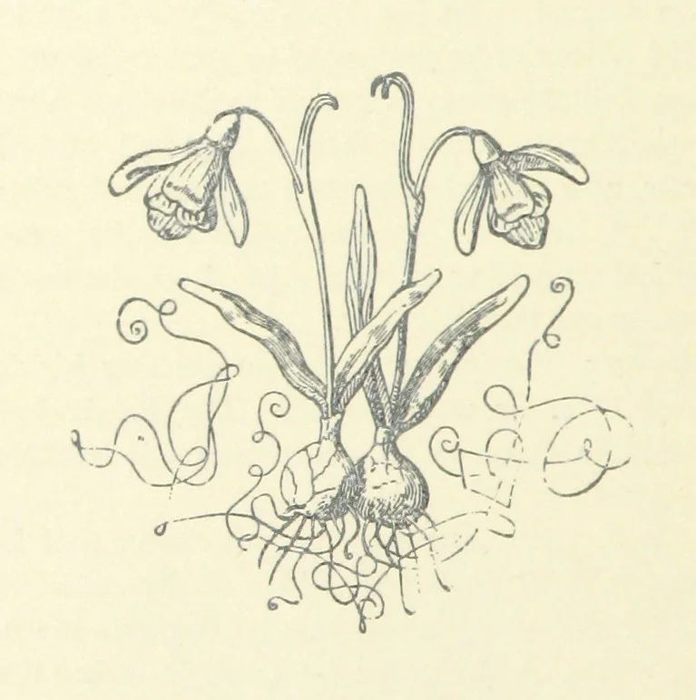 An illustration from Beaten at the Finish; or, Love and adventure in the hunting field, 1899, leaf 102