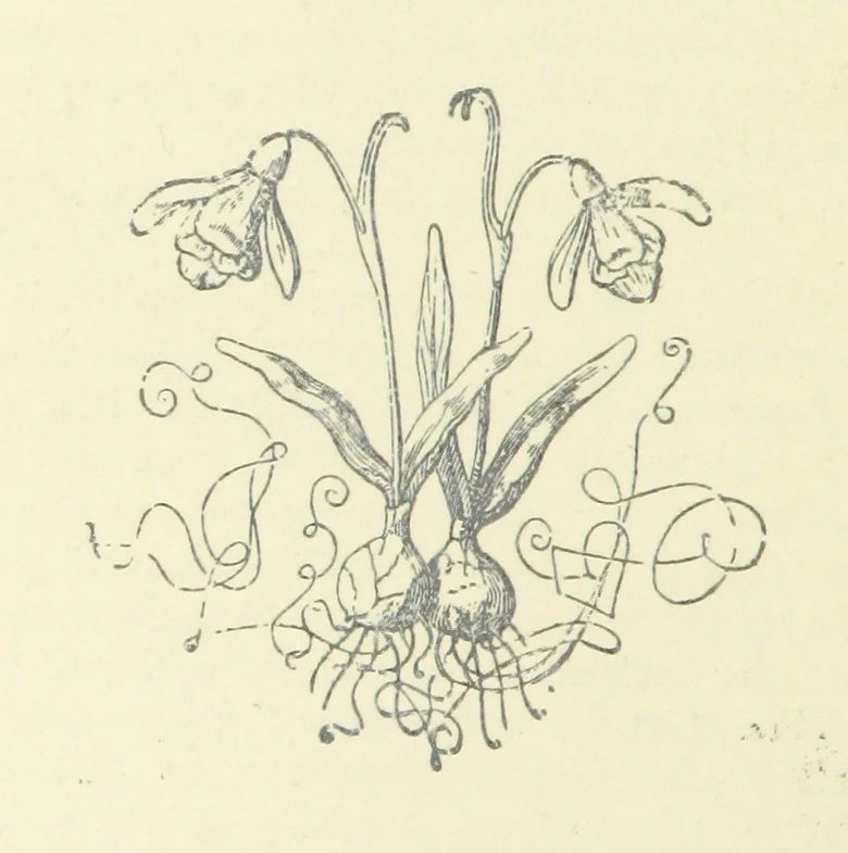 An illustration from Beaten at the Finish; or, Love and adventure in the hunting field, 1899, leaf 156