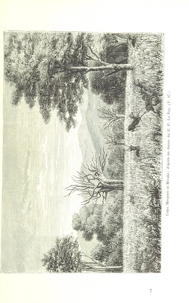 An illustration from A travers le Zanguebar. Voyage ... Par les PP. Baur et Le Roy ... Orné de 45 gravures ... Deuxième édition, 1887, leaf 101