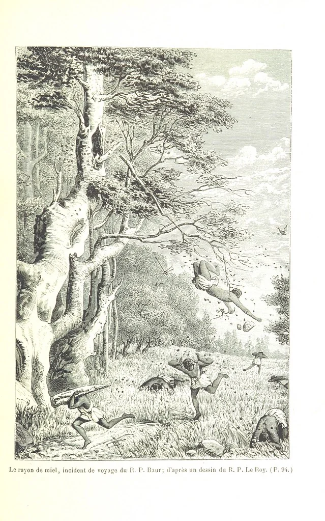 An illustration from A travers le Zanguebar. Voyage ... Par les PP. Baur et Le Roy ... Orné de 45 gravures ... Deuxième édition, 1887, leaf 105