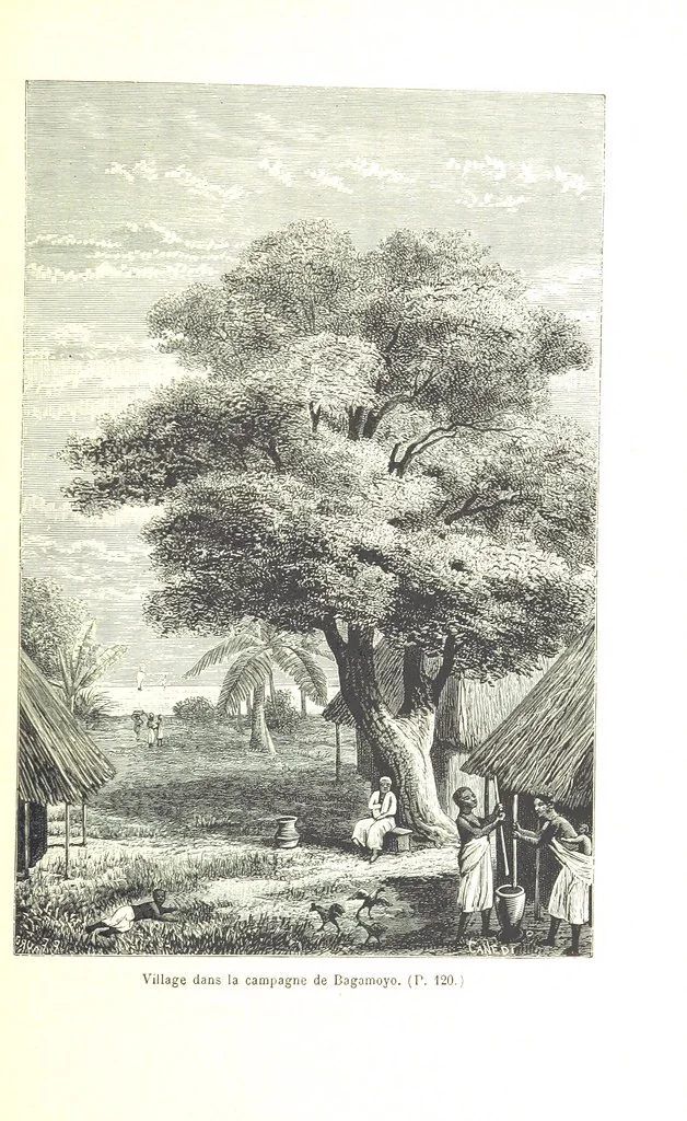 An illustration from A travers le Zanguebar. Voyage ... Par les PP. Baur et Le Roy ... Orné de 45 gravures ... Deuxième édition, 1887, leaf 125