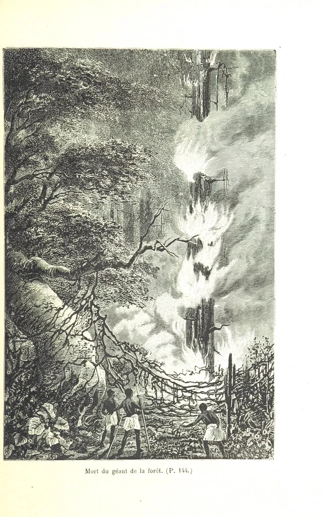 An illustration from A travers le Zanguebar. Voyage ... Par les PP. Baur et Le Roy ... Orné de 45 gravures ... Deuxième édition, 1887, leaf 145