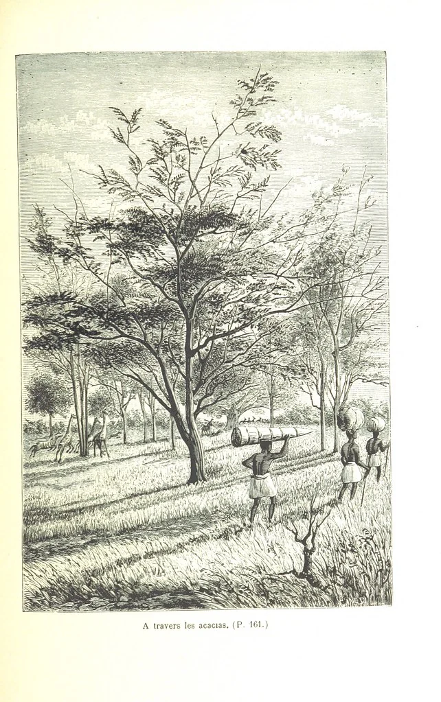 An illustration from A travers le Zanguebar. Voyage ... Par les PP. Baur et Le Roy ... Orné de 45 gravures ... Deuxième édition, 1887, leaf 161