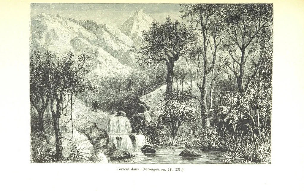 An illustration from A travers le Zanguebar. Voyage ... Par les PP. Baur et Le Roy ... Orné de 45 gravures ... Deuxième édition, 1887, leaf 233