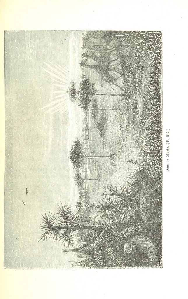 An illustration from A travers le Zanguebar. Voyage ... Par les PP. Baur et Le Roy ... Orné de 45 gravures ... Deuxième édition, 1887, leaf 253