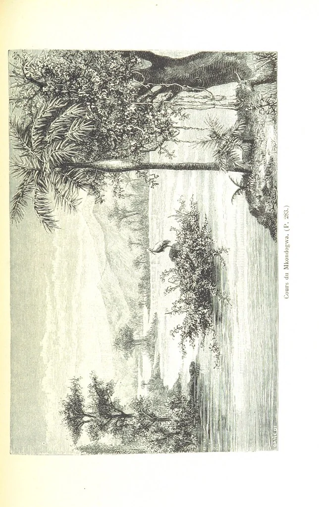 An illustration from A travers le Zanguebar. Voyage ... Par les PP. Baur et Le Roy ... Orné de 45 gravures ... Deuxième édition, 1887, leaf 289