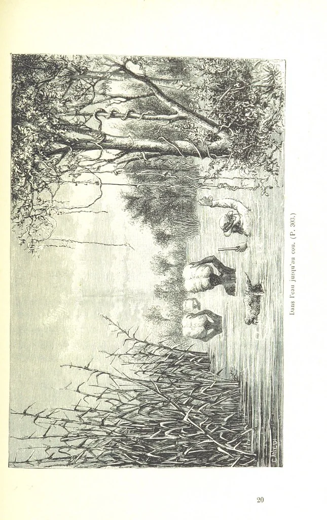An illustration from A travers le Zanguebar. Voyage ... Par les PP. Baur et Le Roy ... Orné de 45 gravures ... Deuxième édition, 1887, leaf 309