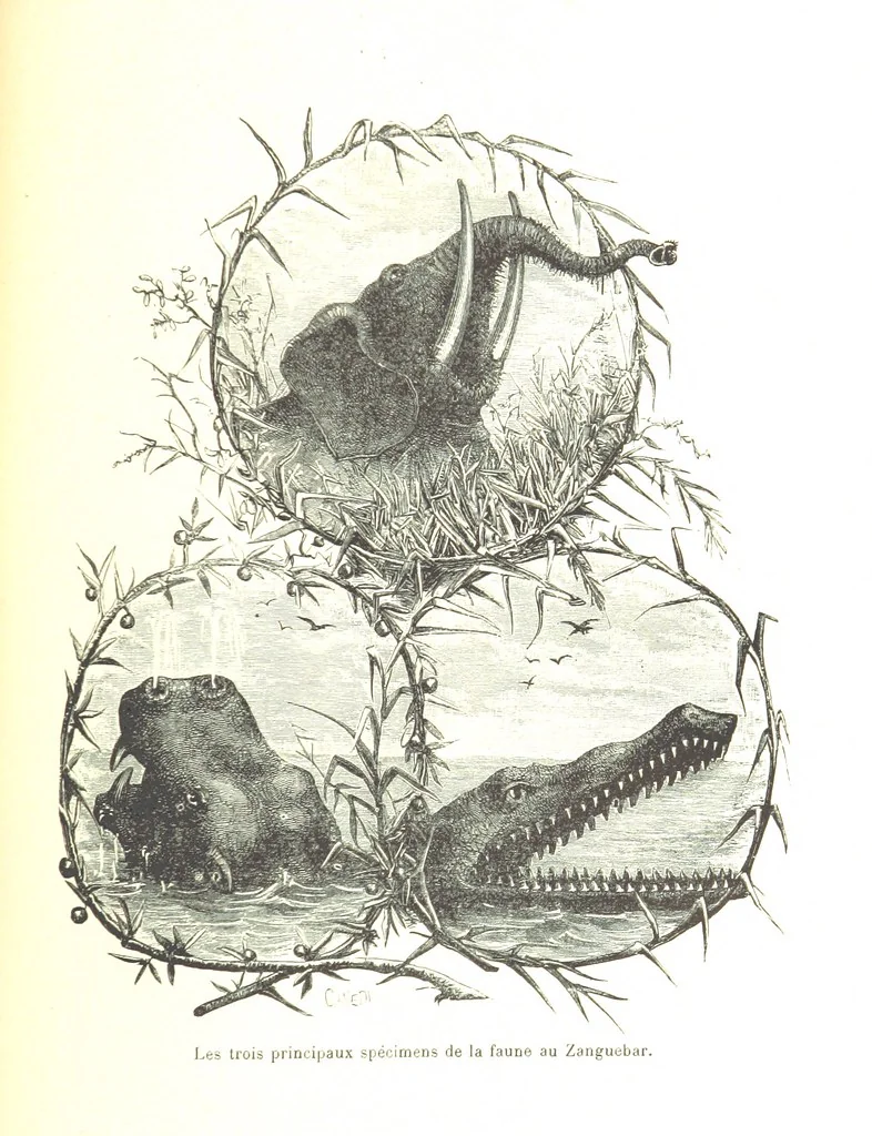 An illustration from A travers le Zanguebar. Voyage ... Par les PP. Baur et Le Roy ... Orné de 45 gravures ... Deuxième édition, 1887, leaf 329