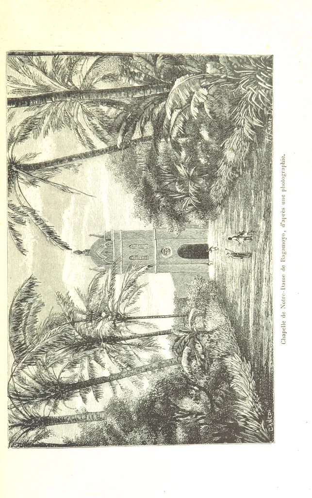 An illustration from A travers le Zanguebar. Voyage ... Par les PP. Baur et Le Roy ... Orné de 45 gravures ... Deuxième édition, 1887, leaf 349