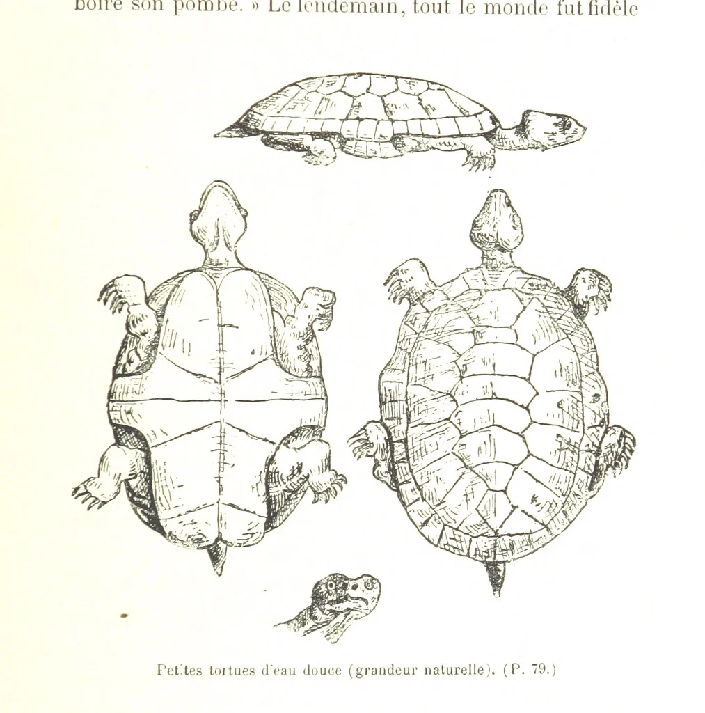 An illustration from A travers le Zanguebar. Voyage ... Par les PP. Baur et Le Roy ... Orné de 45 gravures ... Deuxième édition, 1887, leaf 89