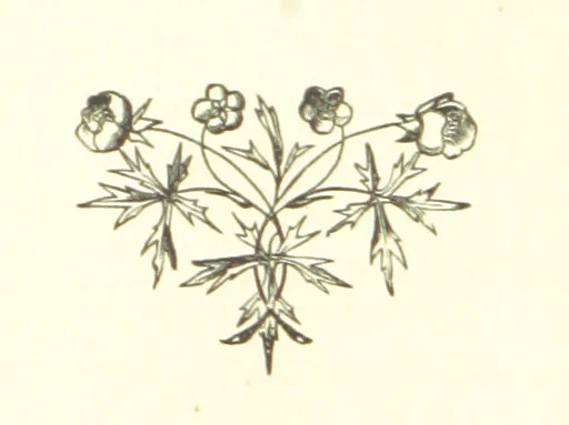 An illustration from English Lyrics. A collection of English poetry of the present day. Arranged by ... R. H. Baynes, 1865, leaf 158