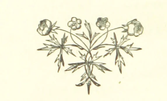 An illustration from English Lyrics. A collection of English poetry of the present day. Arranged by ... R. H. Baynes, 1865, leaf 206