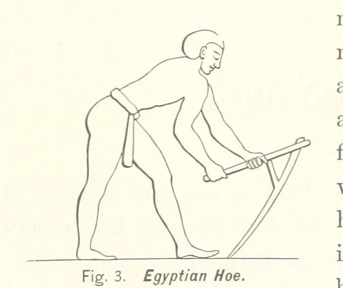 An illustration from Gately's World's Progress. A general history of the earth's construction and of the advancement of mankind ... Edited by C. E. Beale. Édition de luxe, 1886, leaf 120