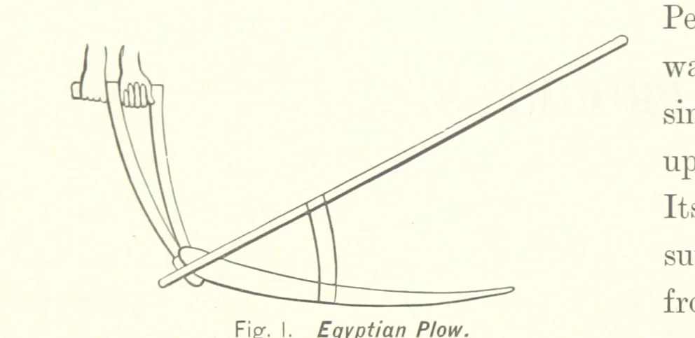 An illustration from Gately's World's Progress. A general history of the earth's construction and of the advancement of mankind ... Edited by C. E. Beale. Édition de luxe, 1886, leaf 120