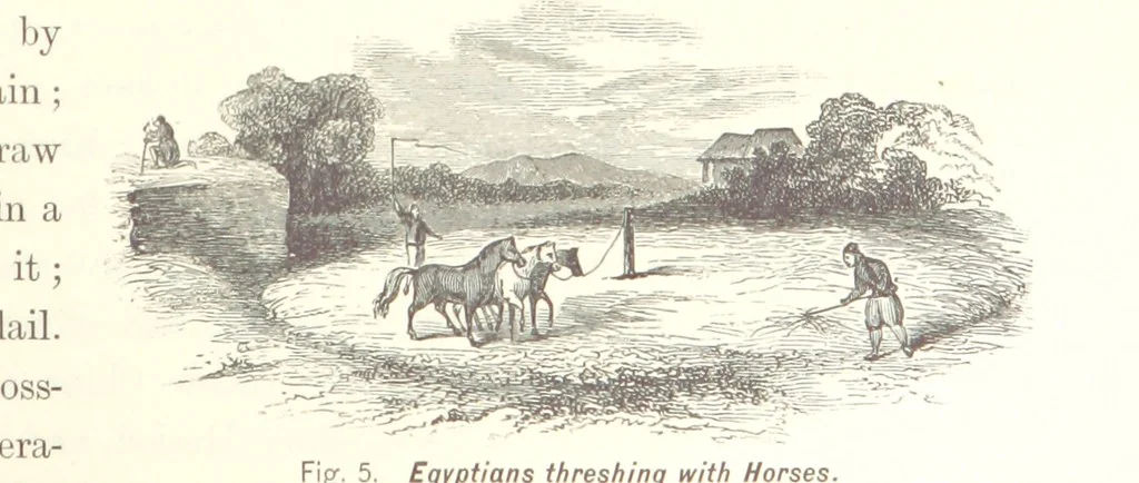 An illustration from Gately's World's Progress. A general history of the earth's construction and of the advancement of mankind ... Edited by C. E. Beale. Édition de luxe, 1886, leaf 121
