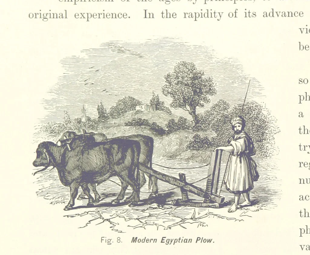 An illustration from Gately's World's Progress. A general history of the earth's construction and of the advancement of mankind ... Edited by C. E. Beale. Édition de luxe, 1886, leaf 134