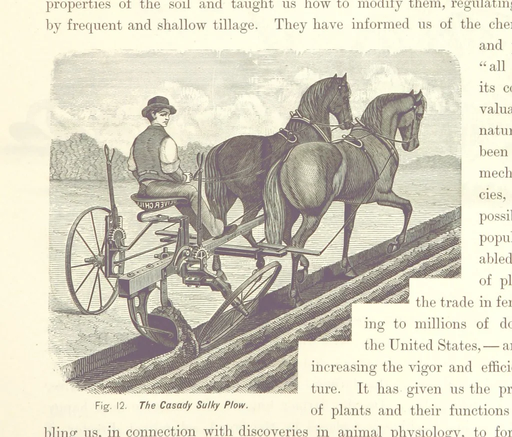 An illustration from Gately's World's Progress. A general history of the earth's construction and of the advancement of mankind ... Edited by C. E. Beale. Édition de luxe, 1886, leaf 135