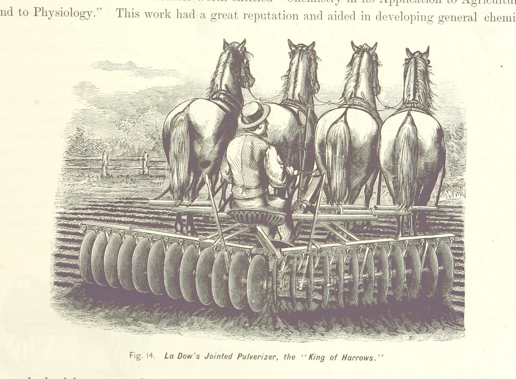 An illustration from Gately's World's Progress. A general history of the earth's construction and of the advancement of mankind ... Edited by C. E. Beale. Édition de luxe, 1886, leaf 137