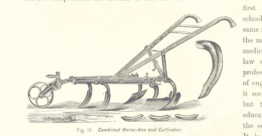 An illustration from Gately's World's Progress. A general history of the earth's construction and of the advancement of mankind ... Edited by C. E. Beale. Édition de luxe, 1886, leaf 140