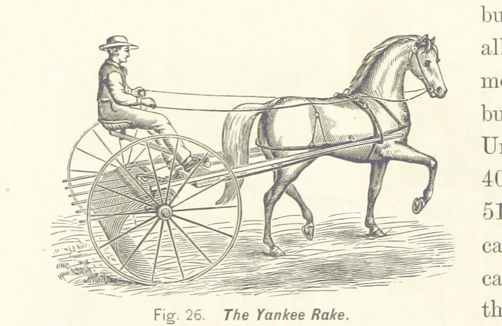 An illustration from Gately's World's Progress. A general history of the earth's construction and of the advancement of mankind ... Edited by C. E. Beale. Édition de luxe, 1886, leaf 146