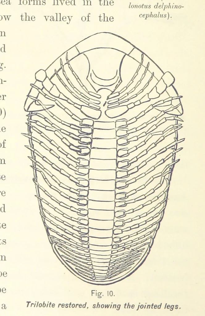 An illustration from Gately's World's Progress. A general history of the earth's construction and of the advancement of mankind ... Edited by C. E. Beale. Édition de luxe, 1886, leaf 30