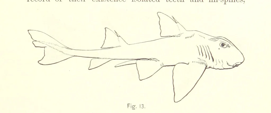 An illustration from Gately's World's Progress. A general history of the earth's construction and of the advancement of mankind ... Edited by C. E. Beale. Édition de luxe, 1886, leaf 31