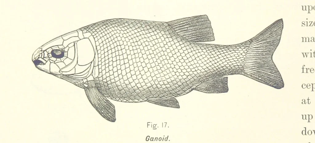 An illustration from Gately's World's Progress. A general history of the earth's construction and of the advancement of mankind ... Edited by C. E. Beale. Édition de luxe, 1886, leaf 32