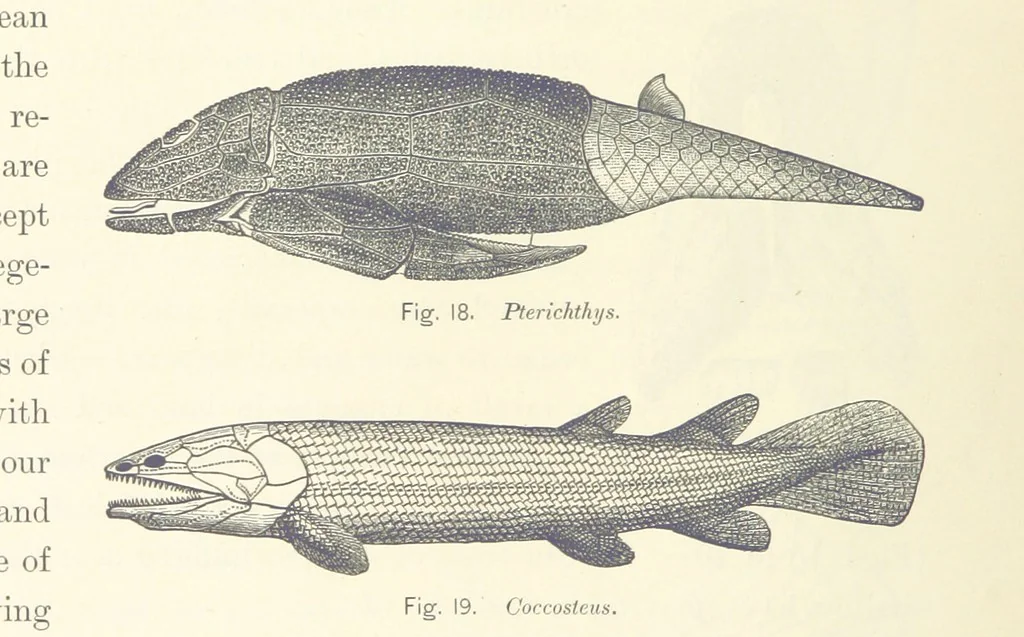An illustration from Gately's World's Progress. A general history of the earth's construction and of the advancement of mankind ... Edited by C. E. Beale. Édition de luxe, 1886, leaf 32