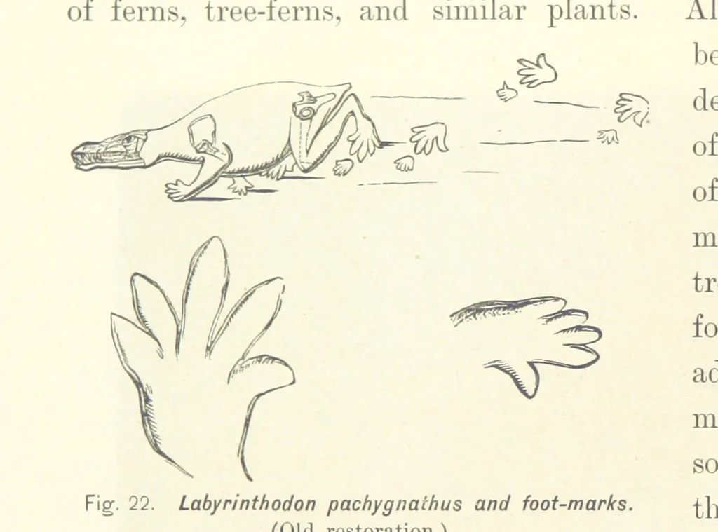 An illustration from Gately's World's Progress. A general history of the earth's construction and of the advancement of mankind ... Edited by C. E. Beale. Édition de luxe, 1886, leaf 34