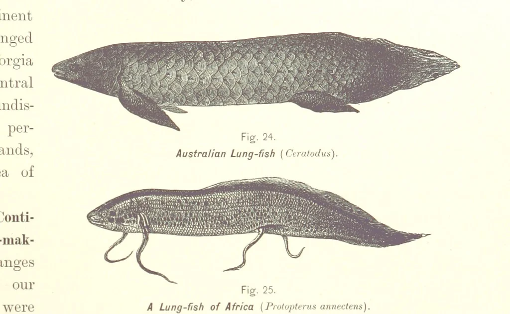 An illustration from Gately's World's Progress. A general history of the earth's construction and of the advancement of mankind ... Edited by C. E. Beale. Édition de luxe, 1886, leaf 35