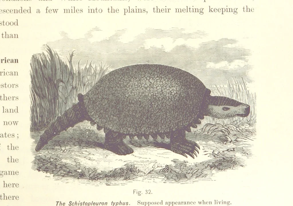 An illustration from Gately's World's Progress. A general history of the earth's construction and of the advancement of mankind ... Edited by C. E. Beale. Édition de luxe, 1886, leaf 39
