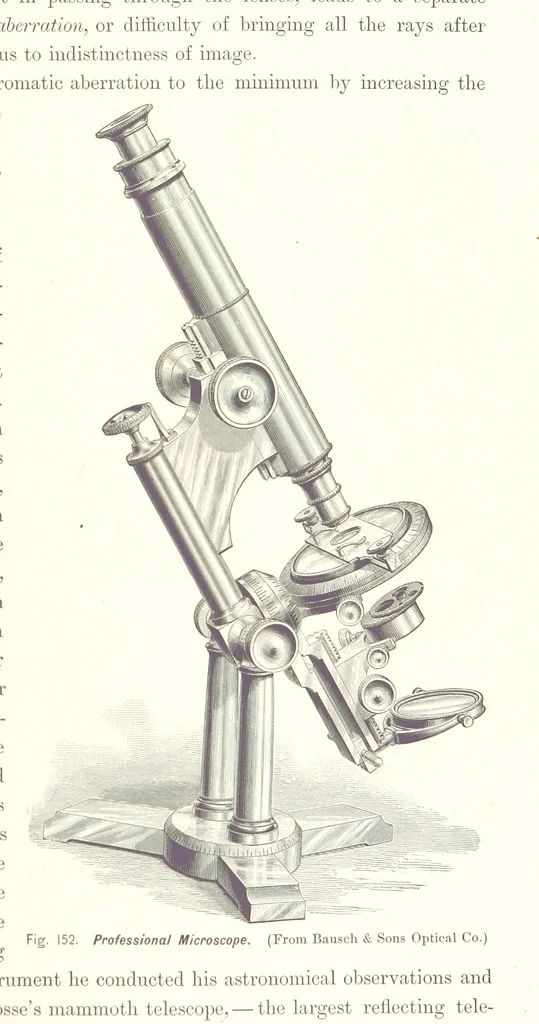 An illustration from Gately's World's Progress. A general history of the earth's construction and of the advancement of mankind ... Edited by C. E. Beale. Édition de luxe, 1886, leaf 447