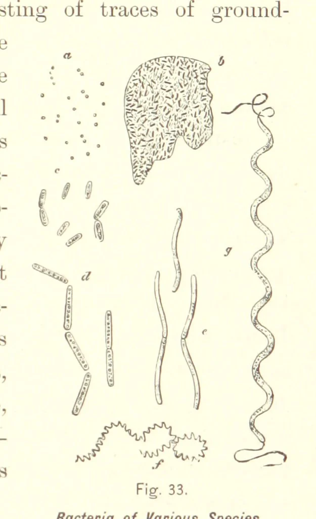 An illustration from Gately's World's Progress. A general history of the earth's construction and of the advancement of mankind ... Edited by C. E. Beale. Édition de luxe, 1886, leaf 45