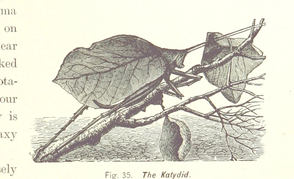An illustration from Gately's World's Progress. A general history of the earth's construction and of the advancement of mankind ... Edited by C. E. Beale. Édition de luxe, 1886, leaf 57