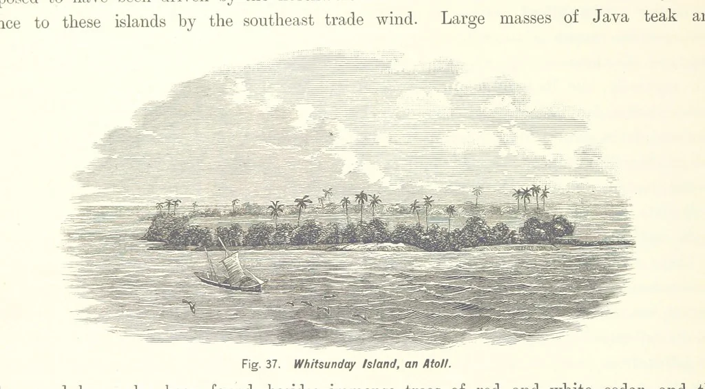 An illustration from Gately's World's Progress. A general history of the earth's construction and of the advancement of mankind ... Edited by C. E. Beale. Édition de luxe, 1886, leaf 60