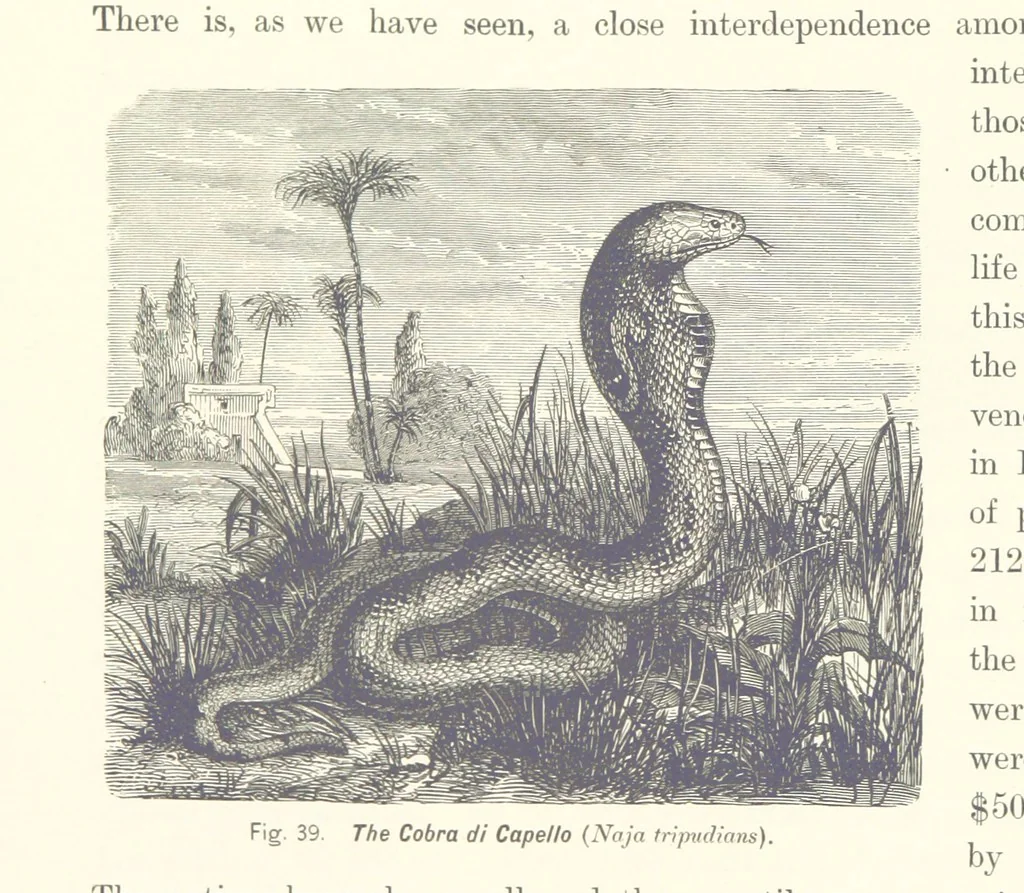 An illustration from Gately's World's Progress. A general history of the earth's construction and of the advancement of mankind ... Edited by C. E. Beale. Édition de luxe, 1886, leaf 62