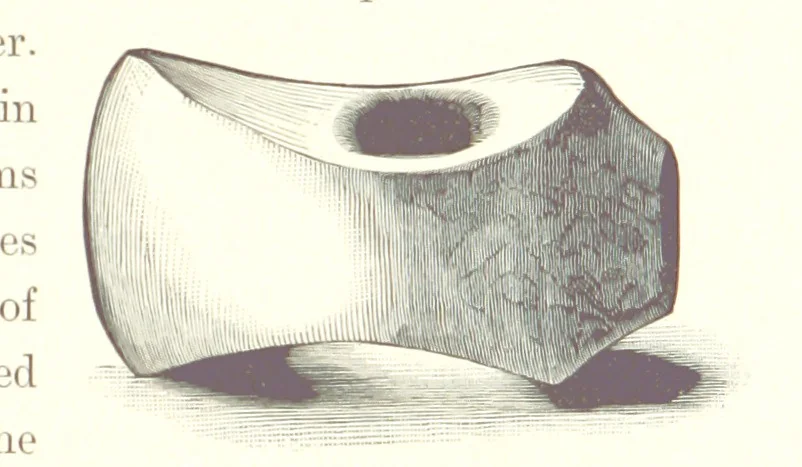 An illustration from Gately's World's Progress. A general history of the earth's construction and of the advancement of mankind ... Edited by C. E. Beale. Édition de luxe, 1886, leaf 87