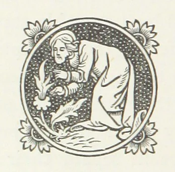 An illustration from Walks about Warrington towards the beginning of the present century, etc, 1887, leaf 96